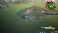 The location of the final two fruits