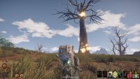 The Huge Burning tree as approached from the north.