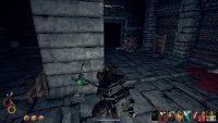 When the Shell Horror is dead, use the lever behind the pillar in the centre of the room.