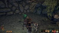 Speak with Zephyrien inside the hive to learn of what happened to him.
