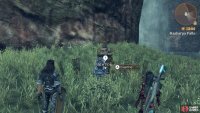 Kasharpa Falls Altar location