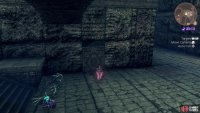 then turn left and approach this wall to find the hidden door