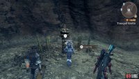 Tranquil Grotto Altar location.