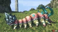 The Dozy Eluca is found near Abaasy’s Dorsum