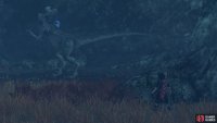 and the Glow Deinos is in the Forbidden Hushlands.
