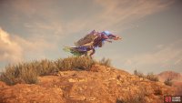 Glinthawk in the game