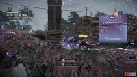 Tagging the Burrowers will make it easier to keep track of them