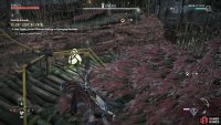 Stick to the high ground when doing the Trial, as it gives you better vantage points