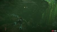 Swim down into a submerged ruin,