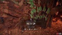 Loot the leader’s abode to find a Carja Blazon in a cache,