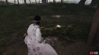 Examine the Mushrooms outside