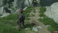 You can see some rocks off to the left that begin the path to the shrine