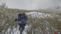  then follow it to the Shrine 