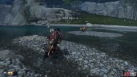 then follow the Fox to the Shrine 