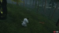 then follow it to a Shrine