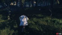 then follow it to a Shrine