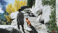 then follow it to a Shrine