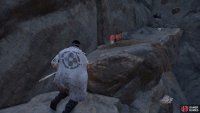 then follow it to a Shrine