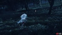 then follow it to a Shrine 