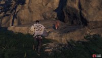 then follow it to a Shrine 
