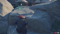 You can easily observe the leader from behind this rock