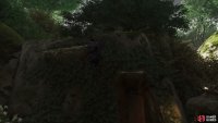 then follow the path around and climb up the wall on the left