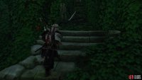 head up the stairs for a Sword Kit before taking the tunnel to the left
