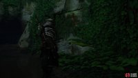 look to the right of the next cave to find some rocks leading up