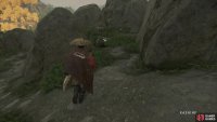 This is the path that will take you to the top of the shrine