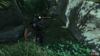 and honour it for a reward.