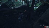 then follow it to a shrine