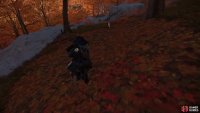 then follow it to a shrine
