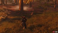 then follow it to a shrine 
