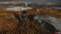 then follow it to a Shrine 