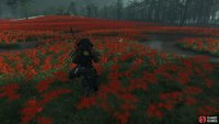 then follow it to a shrine