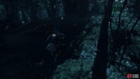 then follow it to a shrine