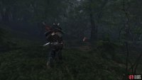 then follow it to a shrine