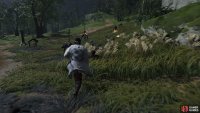 then hide in the grass and wait for the guards to come.