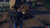 Examine the cart
