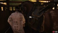 Examine the Stables