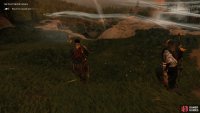 and follow the wind into the forest