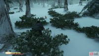  then follow it to the Shrine 