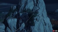 Finally, use any ropes, walls, and branches to reach the shrine, 