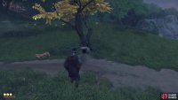 Fox Dens are important, as the foxes lead you to Inari Shrines