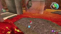 which opens the gate so you can get the Fire Flower.