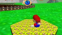 This flower patch can be used as a teleport to get across the course