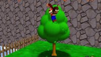 Climb the tree at the beginning to release the owl