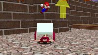 The Heave-Hos will launch you into the air if they catch you