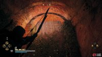 You’ll encounter another hole near the roof, covered with wood. Beyond it you’ll find the chest.