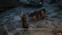 Approach the cow to begin the mystery.
